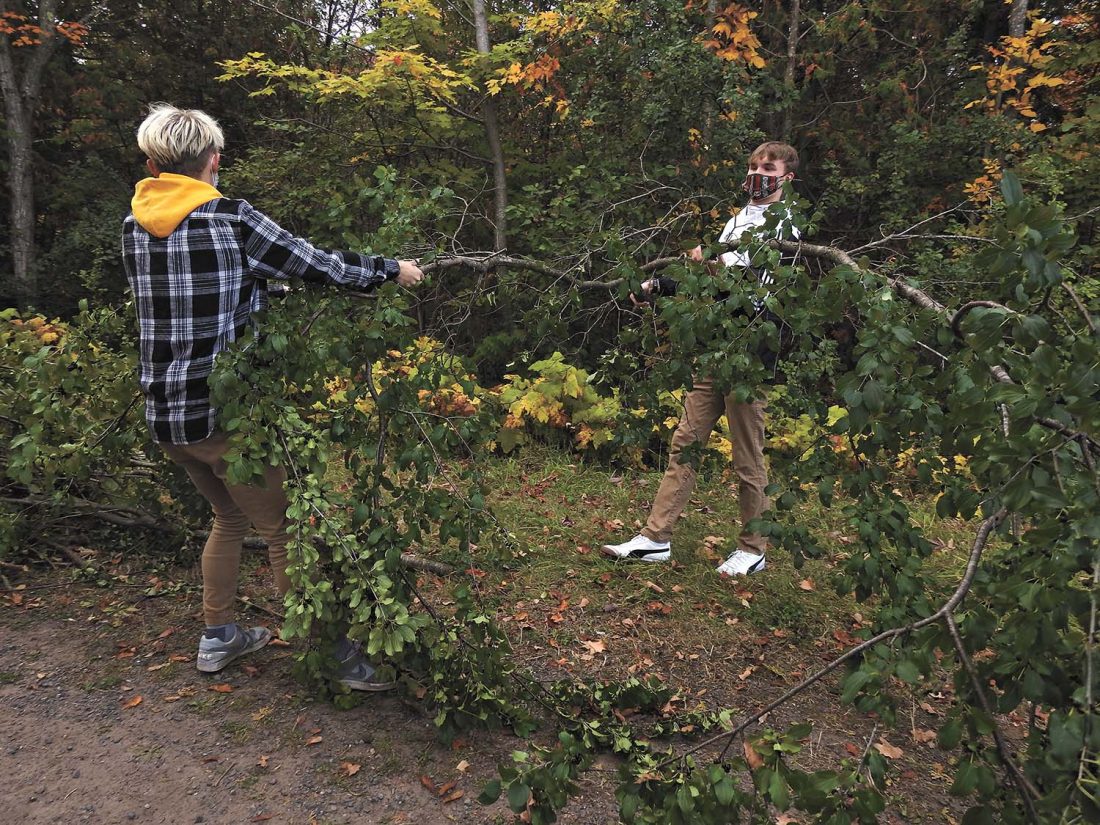 Houghton students pull buckthorn News, Sports, Jobs The Mining Gazette